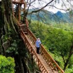 Tempat wisata bogor yang mudah di jangkau