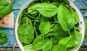 Manfaat Bayam Sayuran Hijau yang Penuh Nutrisi