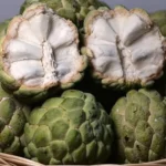 Manfaat Buah Srikaya bagi Kesehatan
