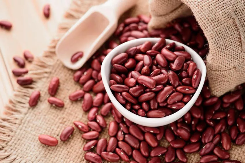 Manfaat Kacang Merah untuk Kesehatan