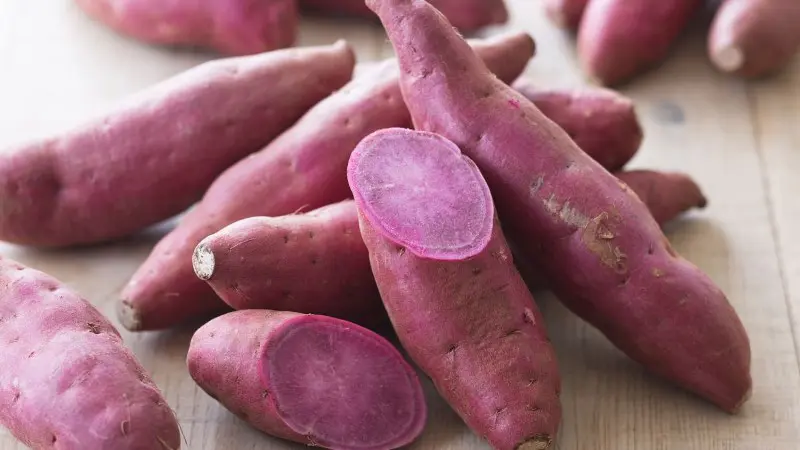 Manfaat Ubi Jalar untuk Sumber Nutrisi